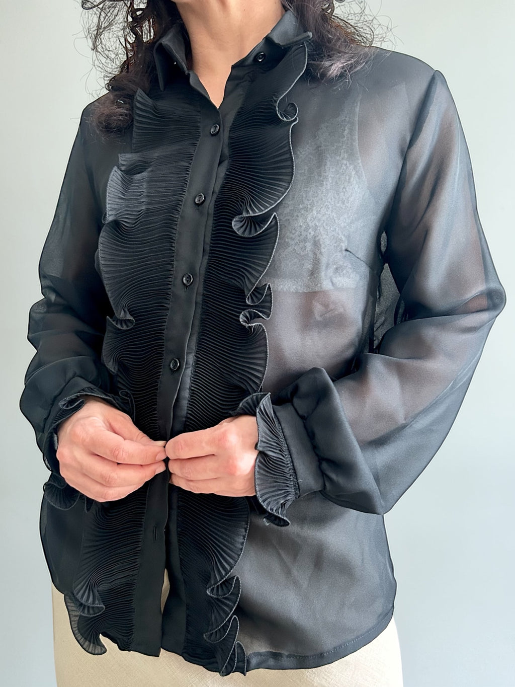 Vintage Sheer Pleated Ruffle Blouse